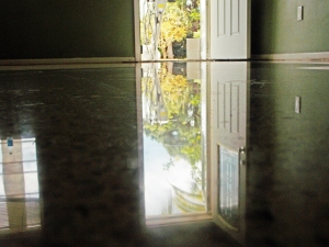 Perfect reflection of the tree in the floor after job