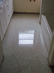 Same Floor after diamond polished terrazzo restoration